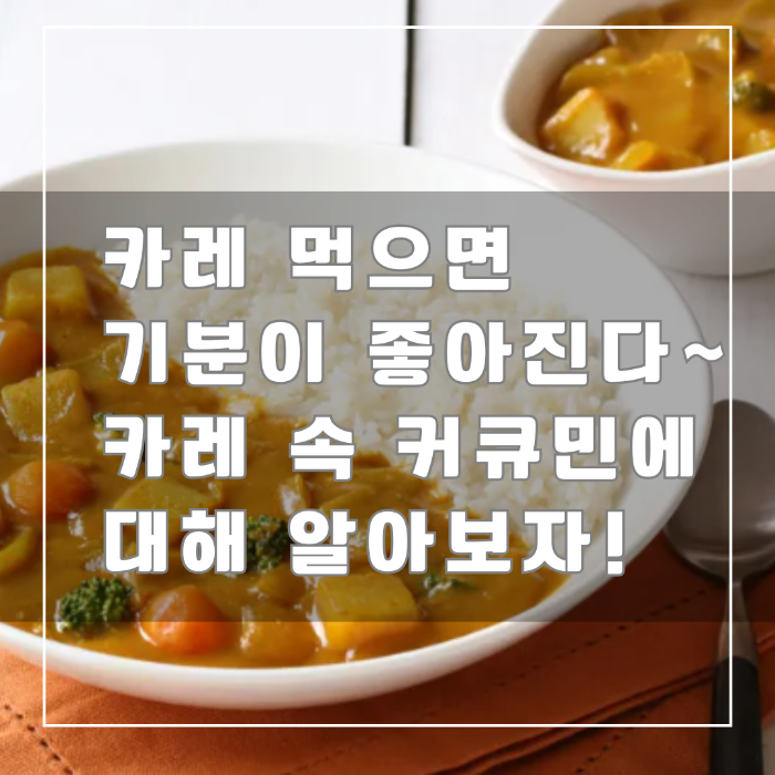 카레속 커큐민에 대해 알아보자~