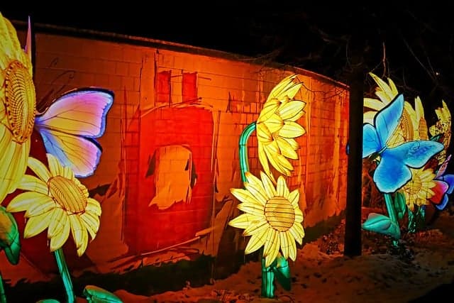 예산 내에서 빛을 설계하는 방법