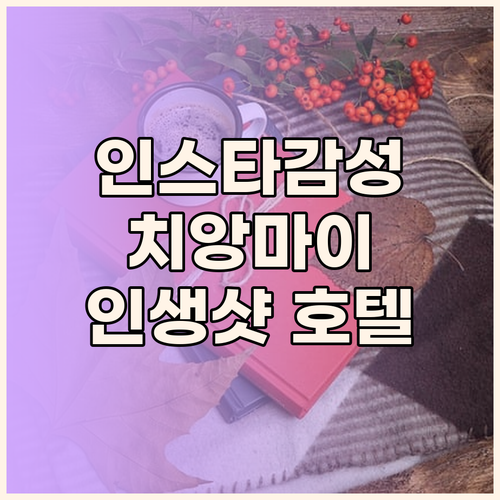 인스타 감성 치앙마이 호텔 추천! 벨