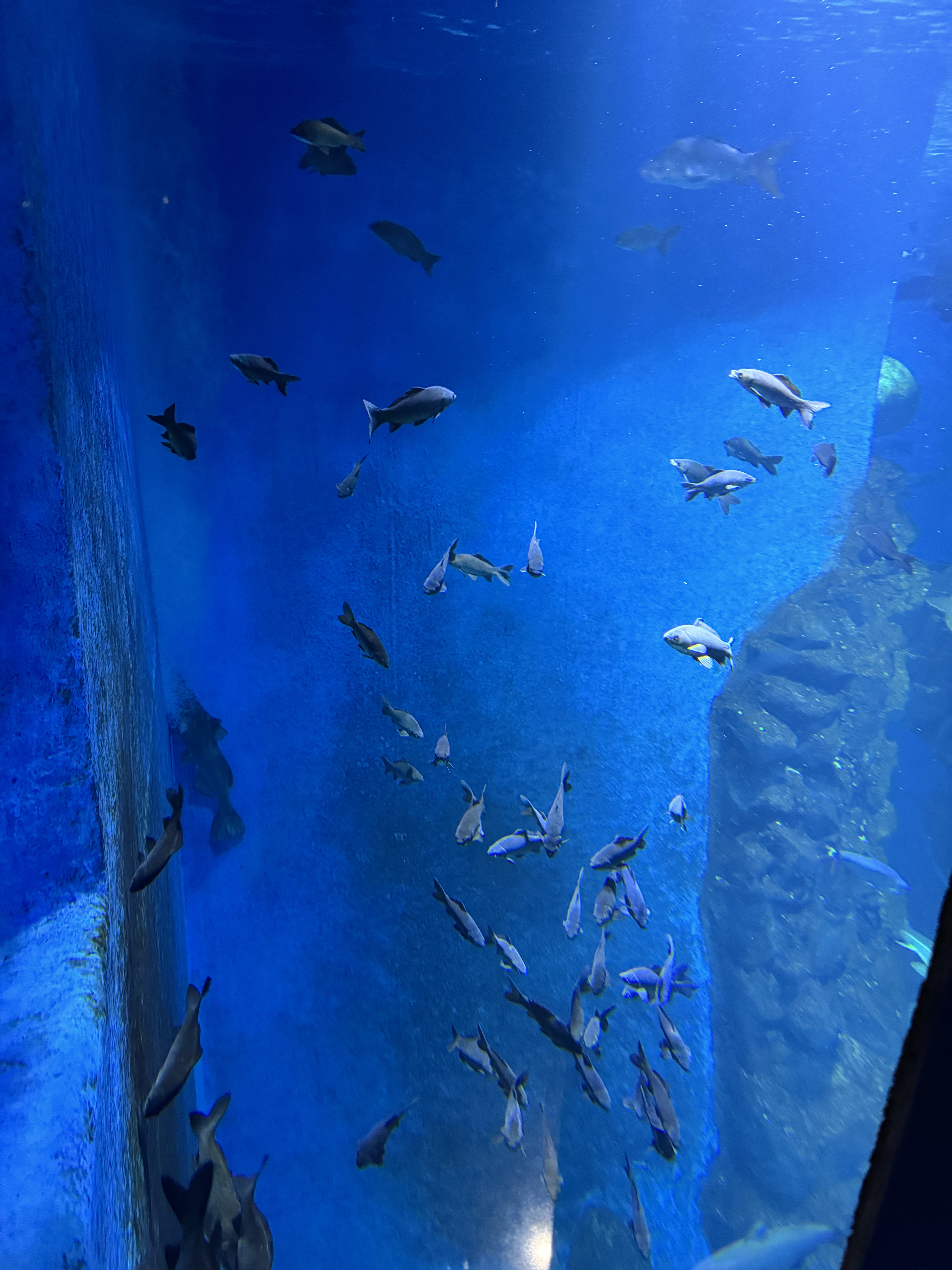 충북 단양 여행