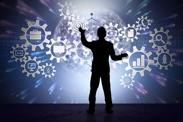 역사·커뮤니티 기반의 프리미엄 단독 거래 패턴