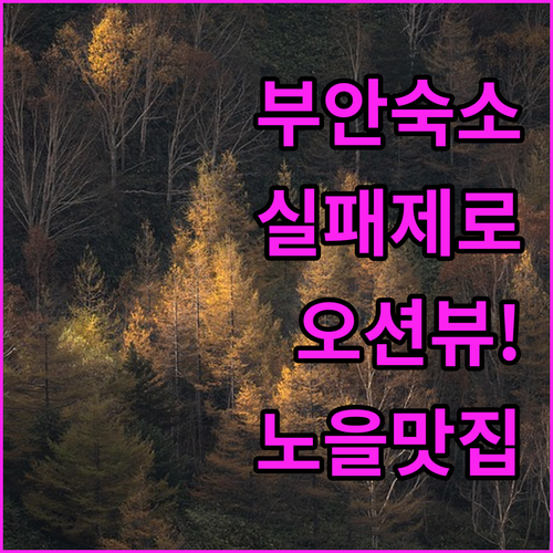 실패 없는 부안 숙소 선택법 오션뷰 ..