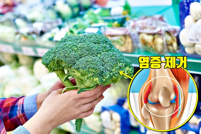 관절염에 좋은 음식 브로콜로 효능