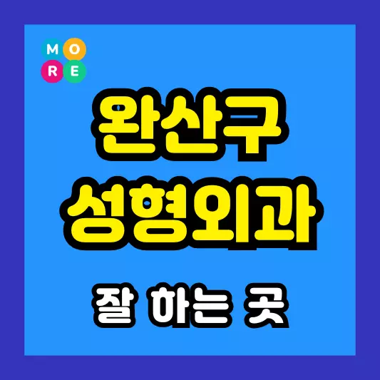 전주 완산구 성형외과 잘 하고 유명한 곳 추천 LIST 3 코끝연골묶기, 눈밑지방재배치, 안와상융기