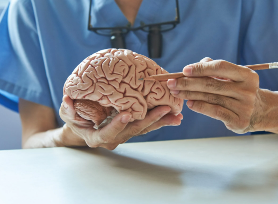 신경과 신경외과 차이