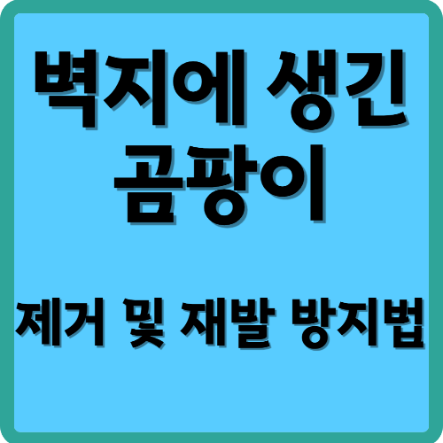 벽지에 생긴 곰팡이, 제거 및 재발 방지법