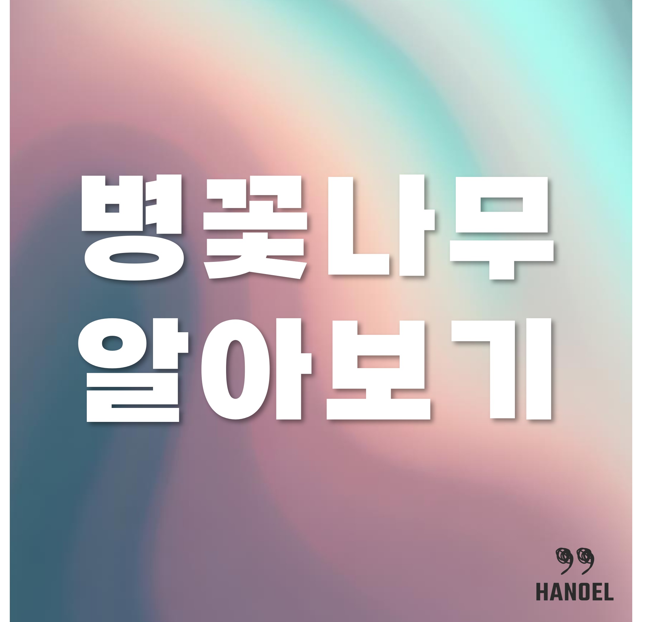 병꽃나무 알아보기
