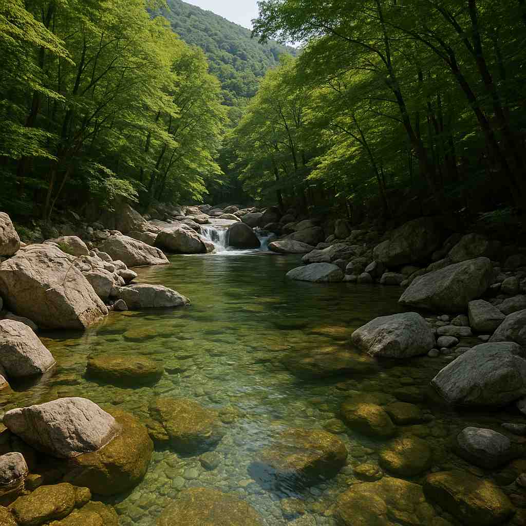 중산리계곡