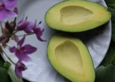 고혈압 원인, 증상, 고혈압 기준, 고혈압에 좋은 음식 총정리