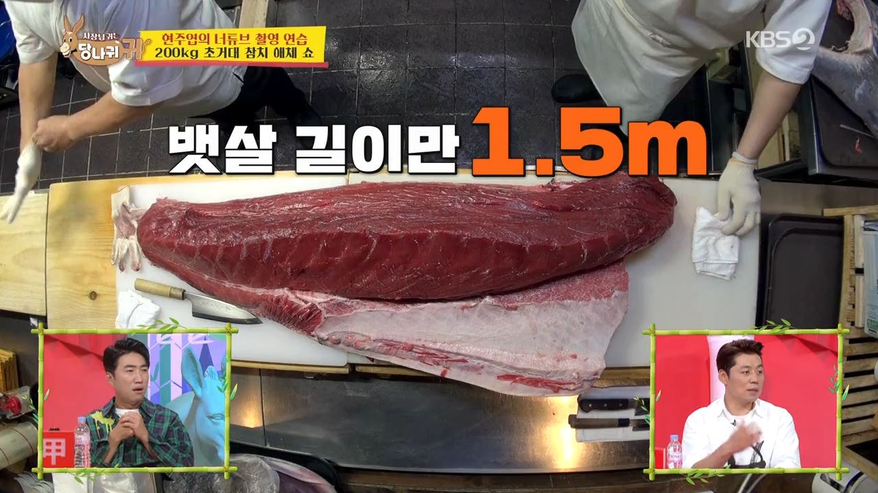 1.5m 대뱃살