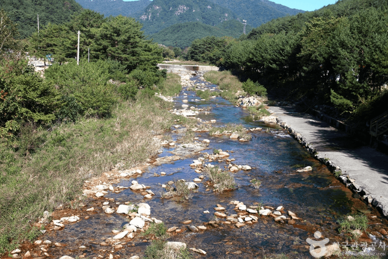 영월 법흥계곡