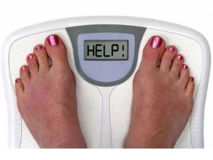 체지방률-정상범위-표