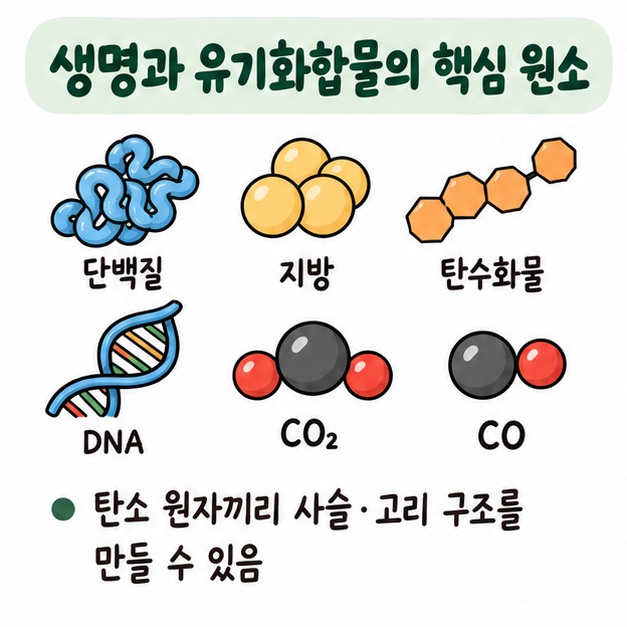탄소가 유기화합물의 기본 골격을 만들고 수소·산소·질소 등과 다양한 결합을 형성한다는 특징 카드