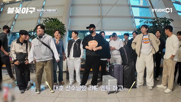 불꽃야구