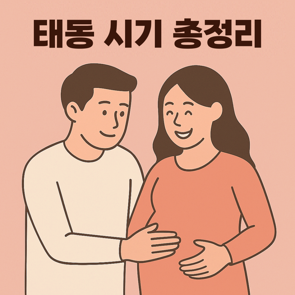 태동 시기 총정리|언제부터 느끼는지, 정상 태동과 주의사항까지