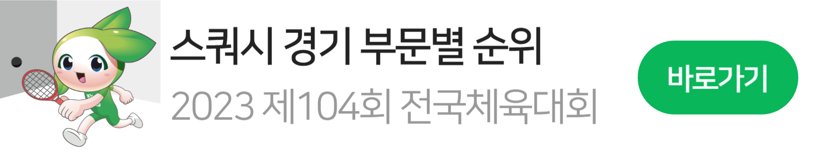 전국체육대회 스쿼시 마스코트3