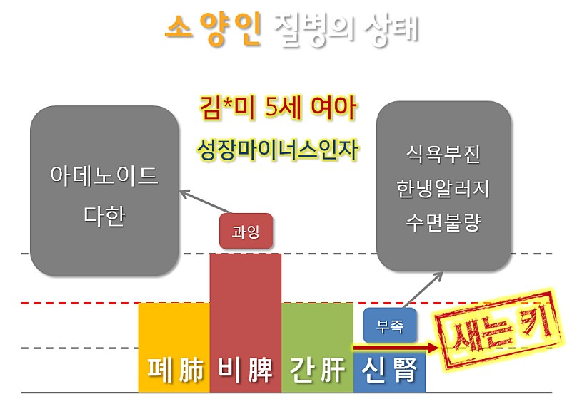 체질별 항생제 반응차이와 안전한 복용