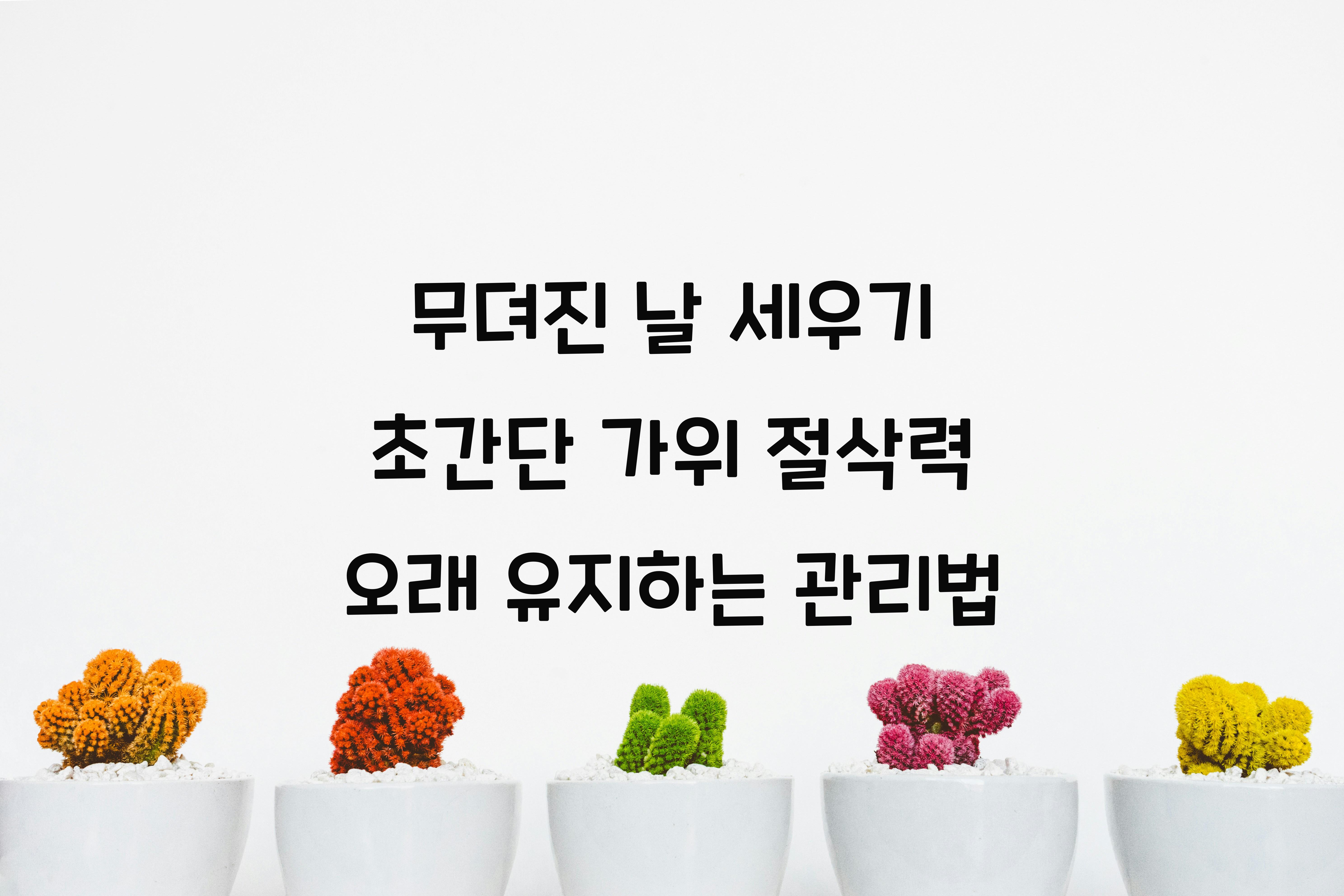 가위 절삭력 오래 유지하는 관리법