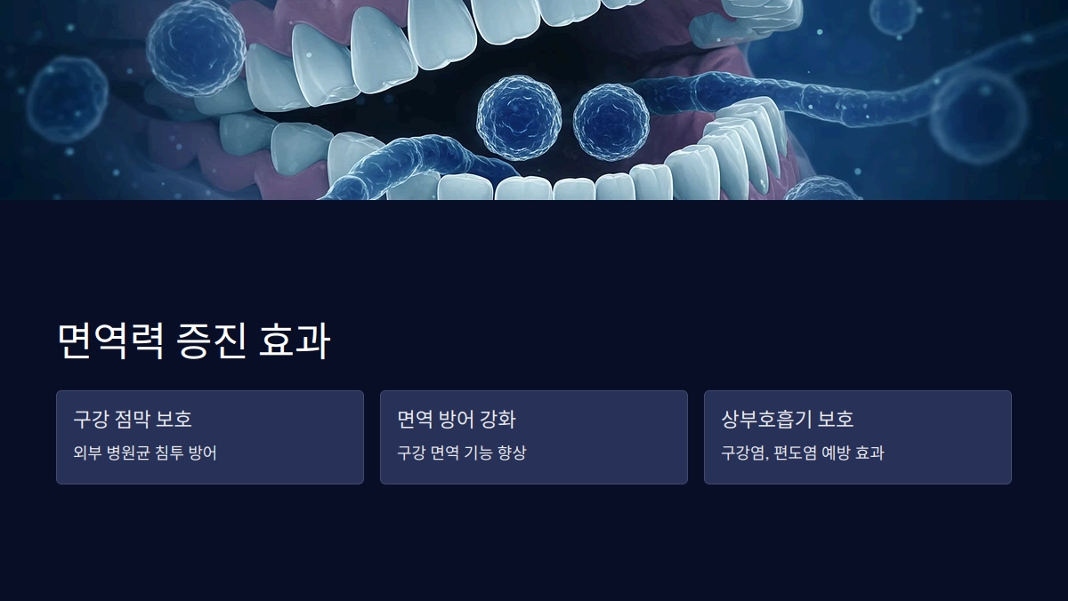 구강유산균 효능