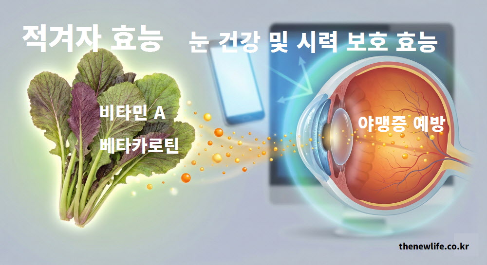 비타민 A와 베타카로틴이 풍부하여 야맹증 예방과 시력 보호에 도움을 주는 적겨자 효능 인포그래픽