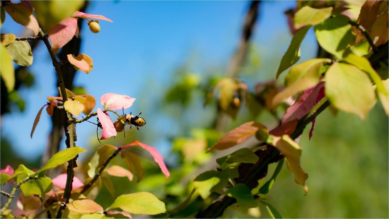 우체국 정기예금 금리