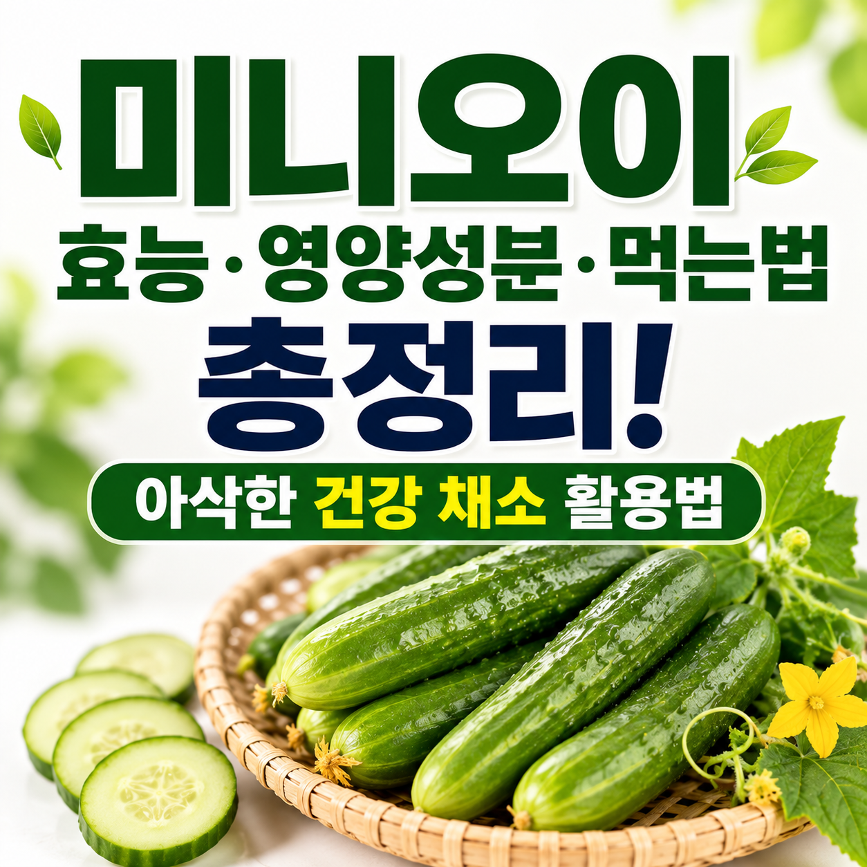 미니오이 효능
