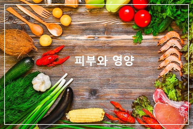 피부와 영양