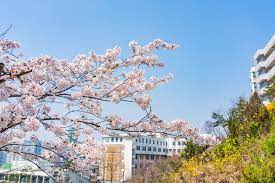 봄 커플 여행지 국내 추천 BEST 7 - 서울근교