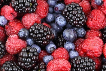 갱년기에좋은식품