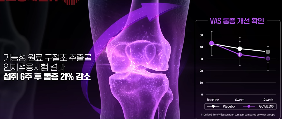 구절초 효능