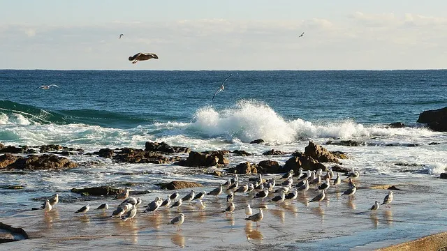 동해산타열차 시간표 예매가능한 날 가격_3