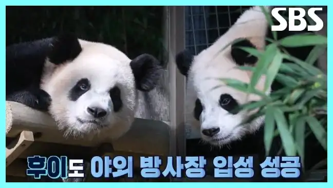 동물농장 재방송 시간 다시보기