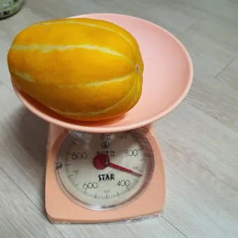 참외 1개 칼로리와 gi 혈당 지수 건강 관리 정보_5
