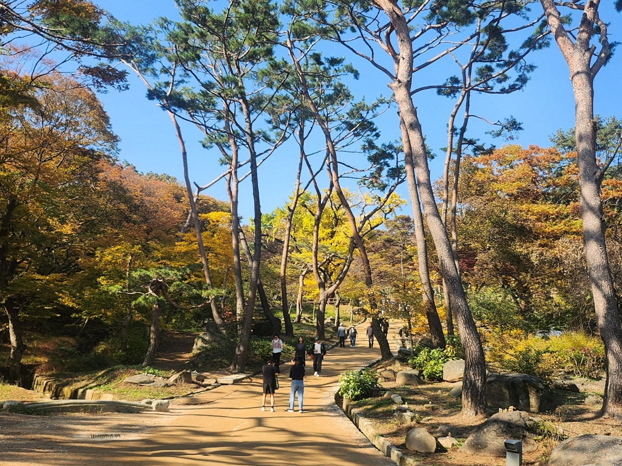 강화도전등사단풍