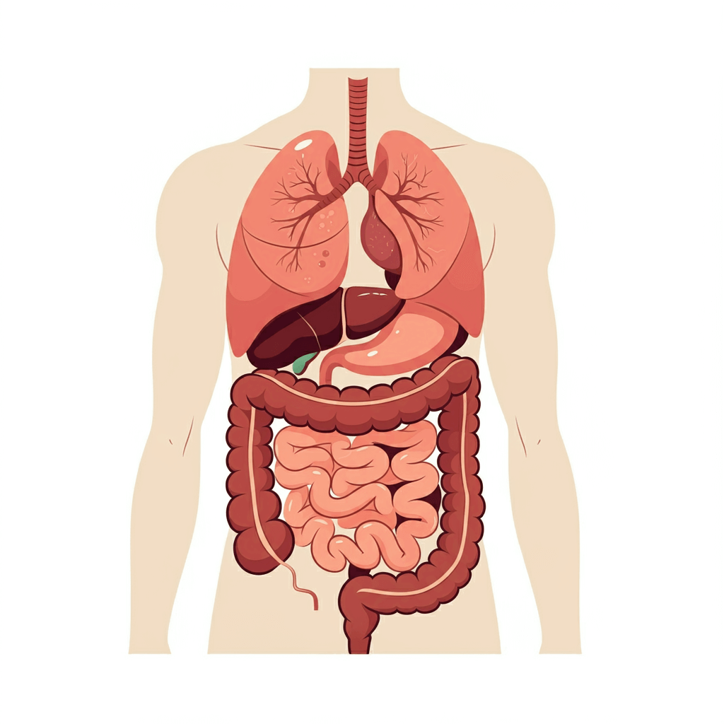 과민성대장증후군 증상, 과민성대장증후군 원인, 과민성대장증후군 치료법, 과민성대장증후군 좋은 음식, 장 건강, 스트레스와 장염, 과민성대장 치료법
