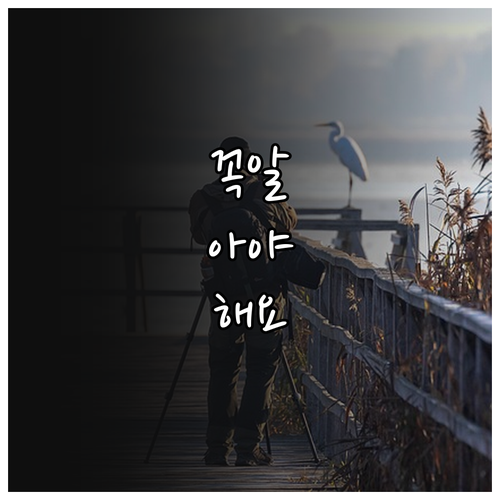 영암군 2025 결혼장려금 자격 조건..