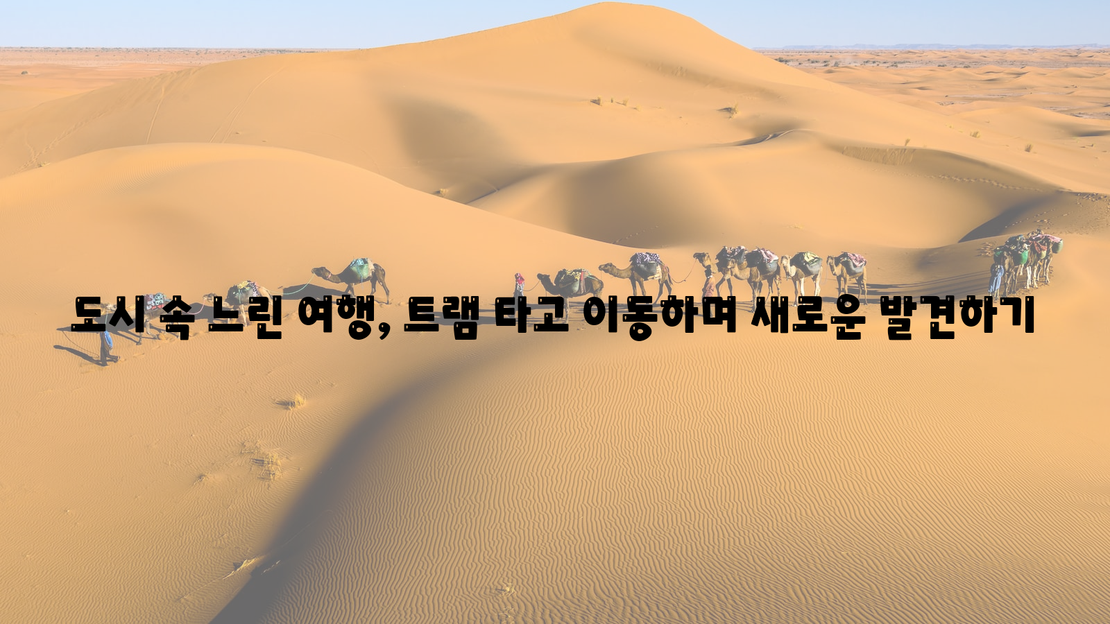 도시, 여행, 트램