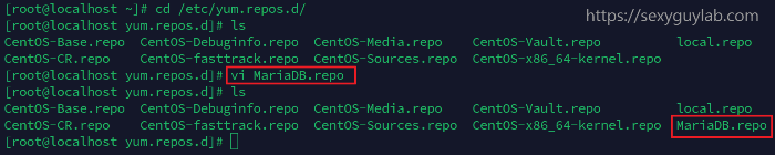 MariaDB.repo 생성 및 설정 화면
