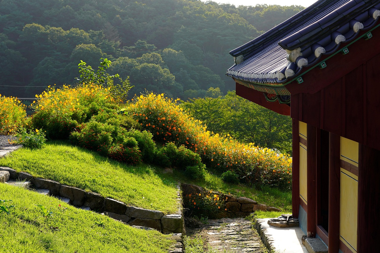 한국의 가을 여행하기 좋은 3곳 경주,설악산,전주