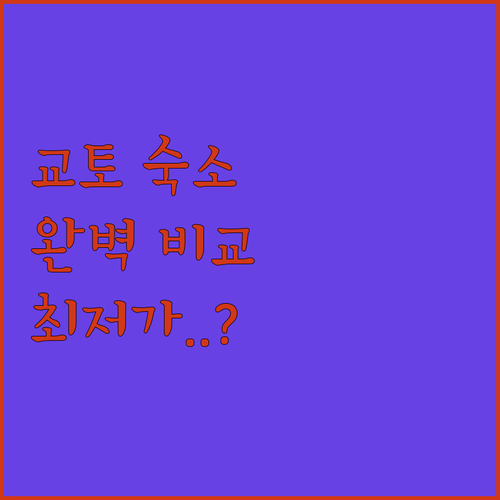 교토역 앞 위치 좋은 숙소와 시내 감..