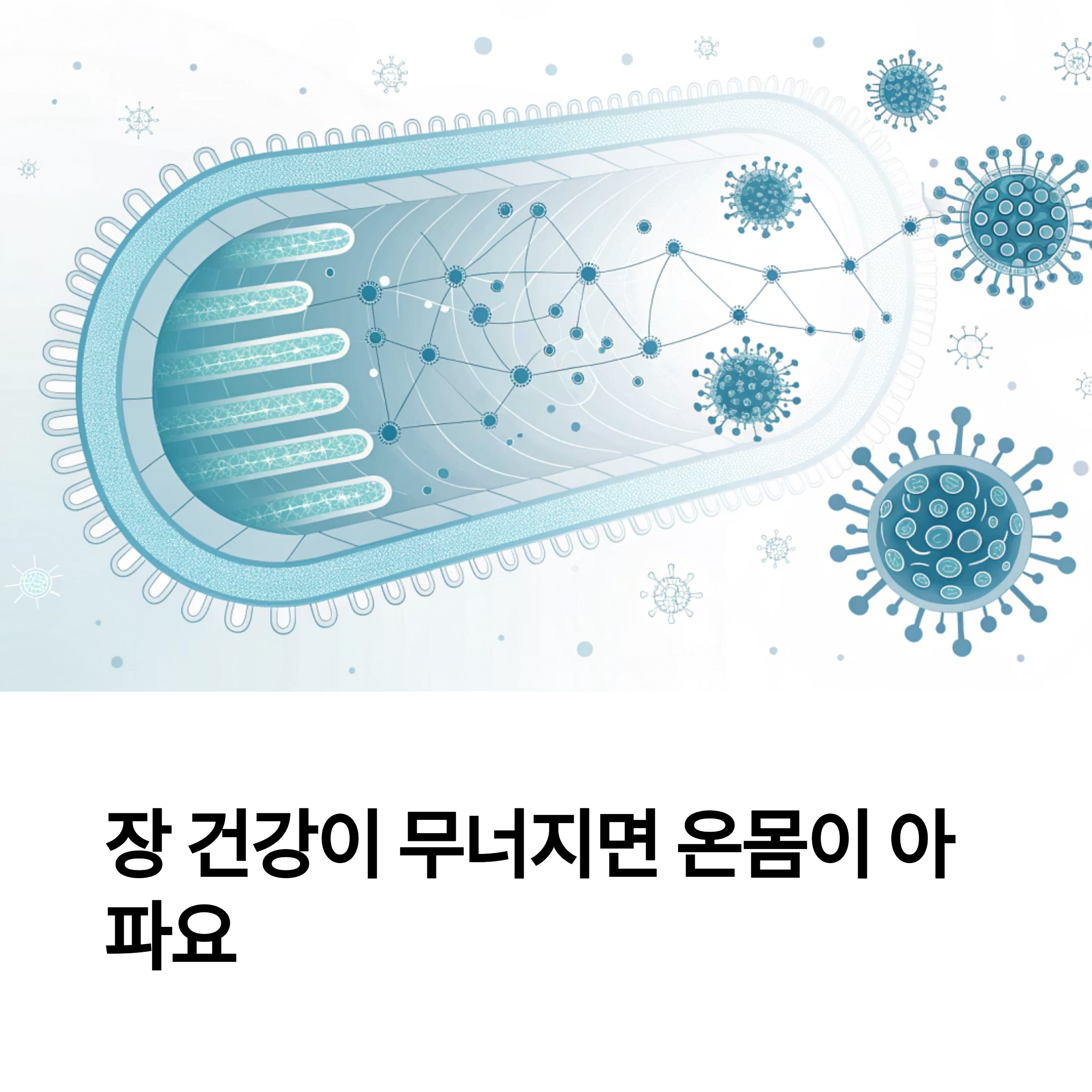 장 건강이 무너지면 온몸이 아파요