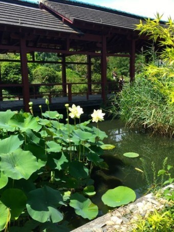 낭트의 Jardin Ile de Versailles