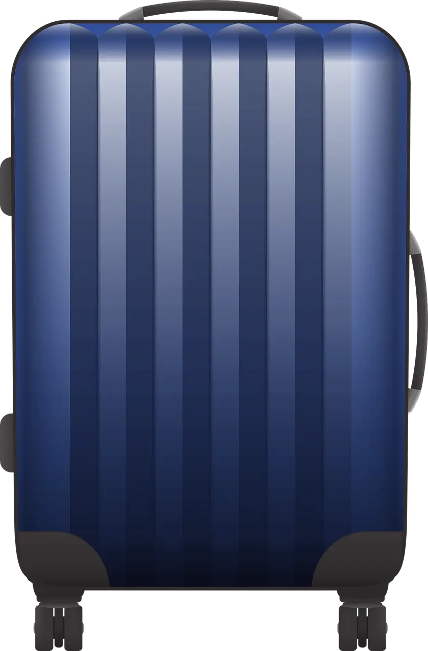 출입국사실증명서