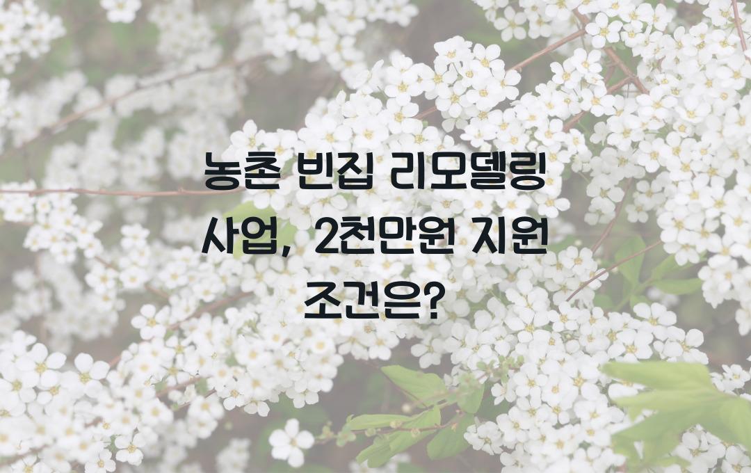 농촌 빈집 리모델링 사업, 최대 2천만원 지원받는 이주 조건