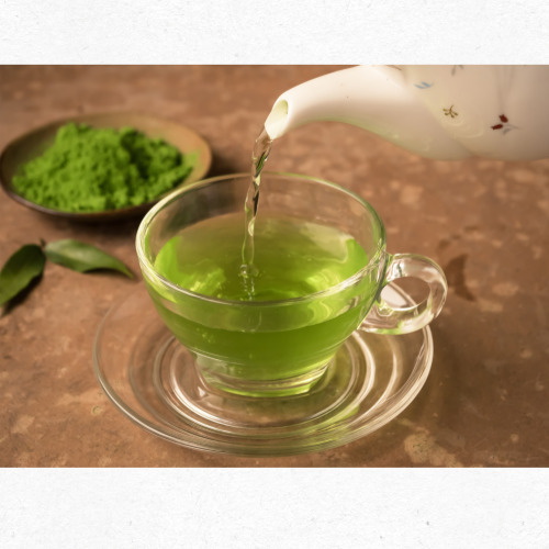 녹차추출물효능