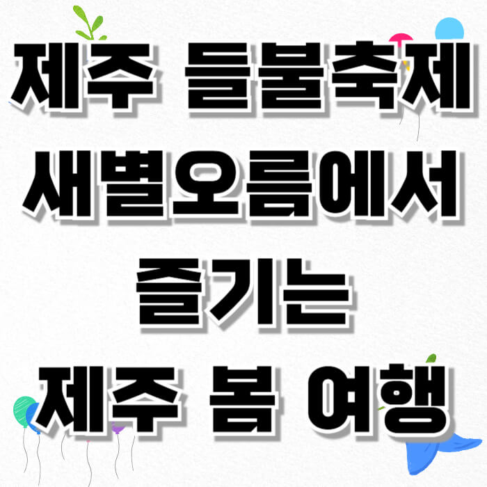 제주 들불축제, 새별오름에서 즐기는 제주 봄 여행