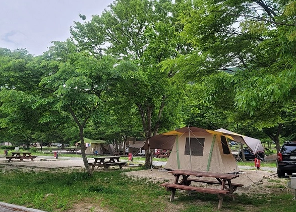 설악동야영장 A영지