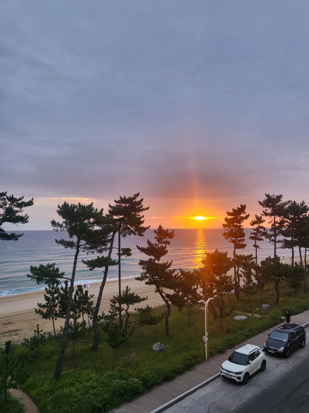 강릉루이식당 돈카츠