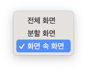 화면확대-스타일-설정
