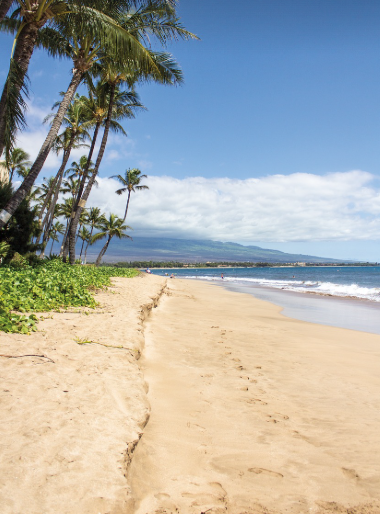 마우이 해변